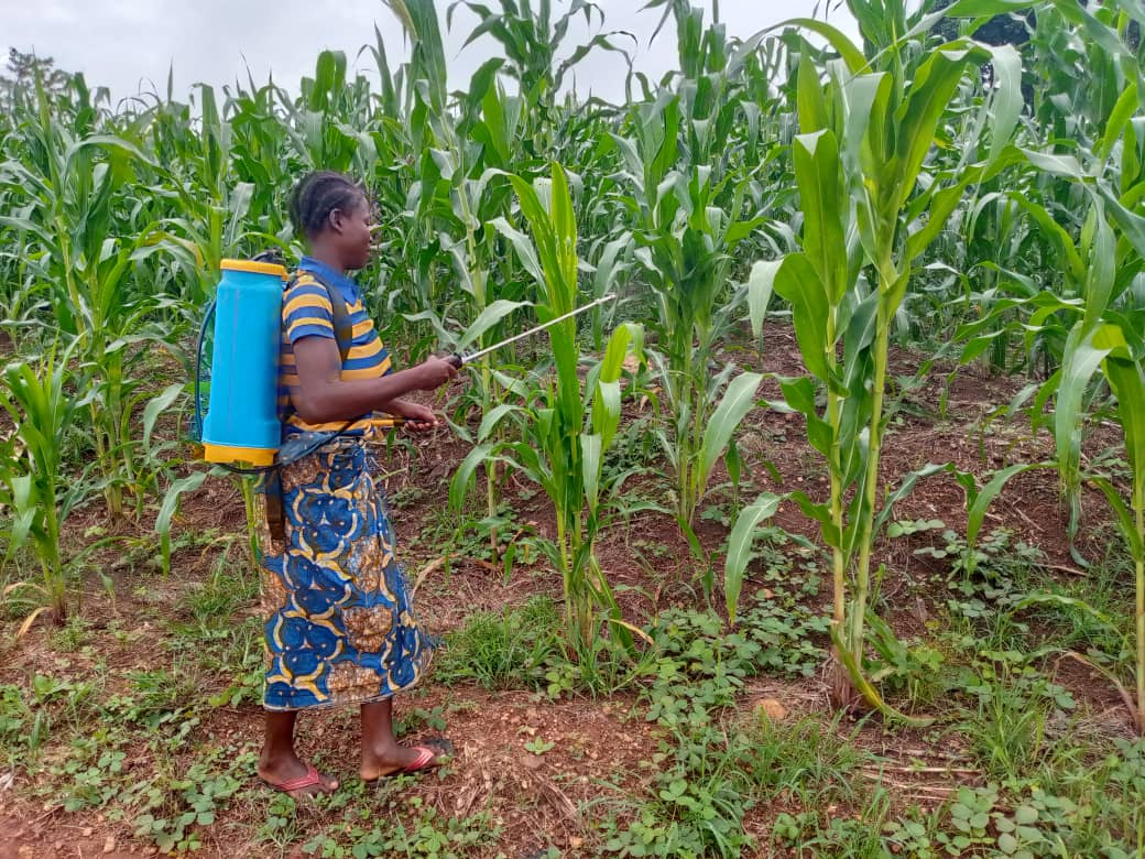 Lire la suite à propos de l’article « Vers une Agriculture Écologique : Utilisation des Biopesticides pour une Sécurité Alimentaire »