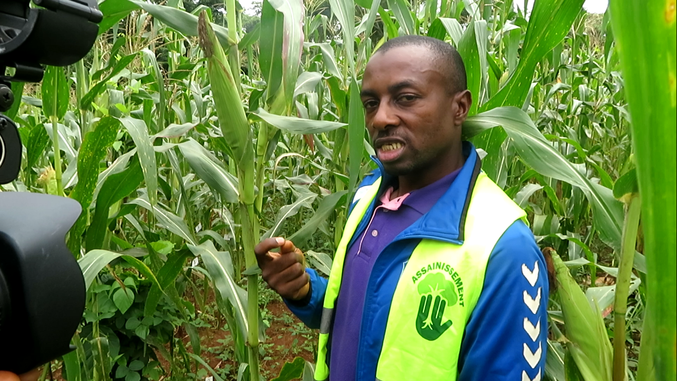 Lire la suite à propos de l’article Vers une Agriculture Durable : Le Biochar comme Solution Innovante pour Restaurer les sols Agricoles