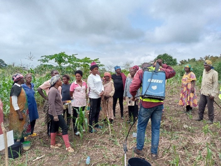 Lire la suite à propos de l’article RAPPORT MISSION FORMATION PRODUCTION ET UTILISATION DES BIOPESTICIDES Du 21 MAI au 1 JUIN 2024