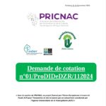 Demande de cotationn°01/ProDIDeDZR/112024